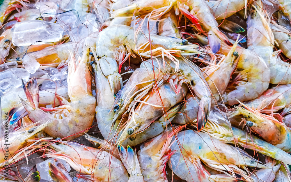 Shrimps on the market texture pattern in Puerto Escondido Mexico. Shrimps on the market texture pattern in Puerto Escondido Mexico.