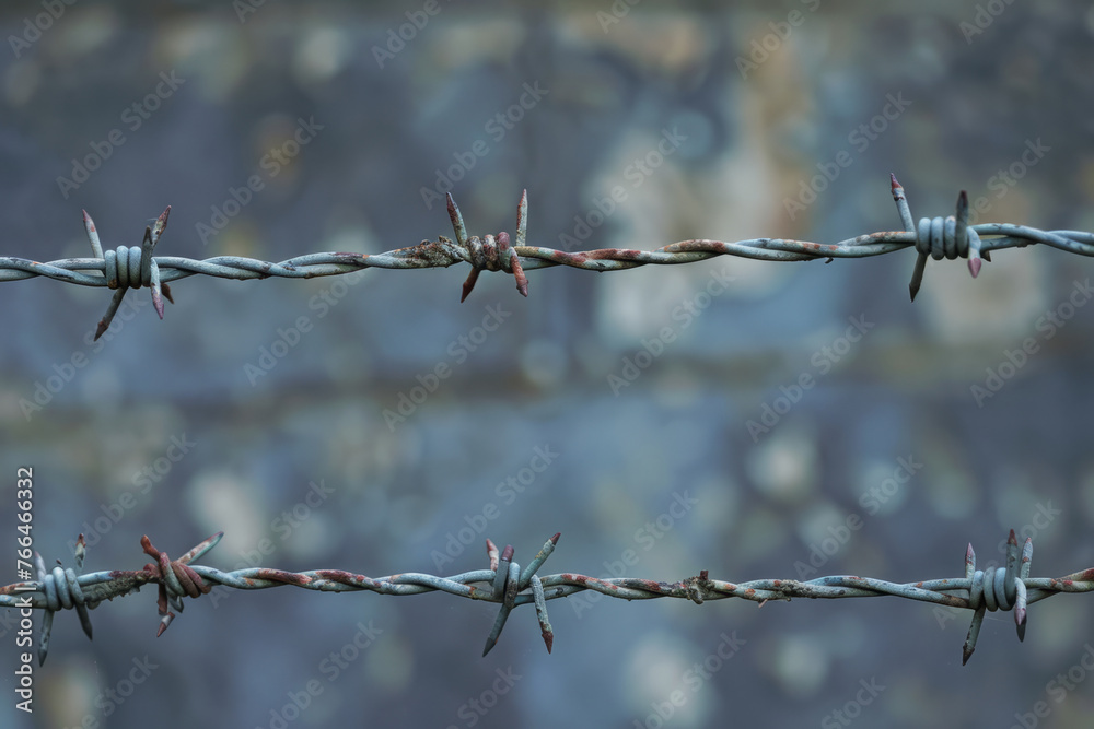 Barbed wire with blurred background, Close-up sharp details of wires metallic texture Barbed wire with blurred background, Close-up sharp details of wires metallic texture