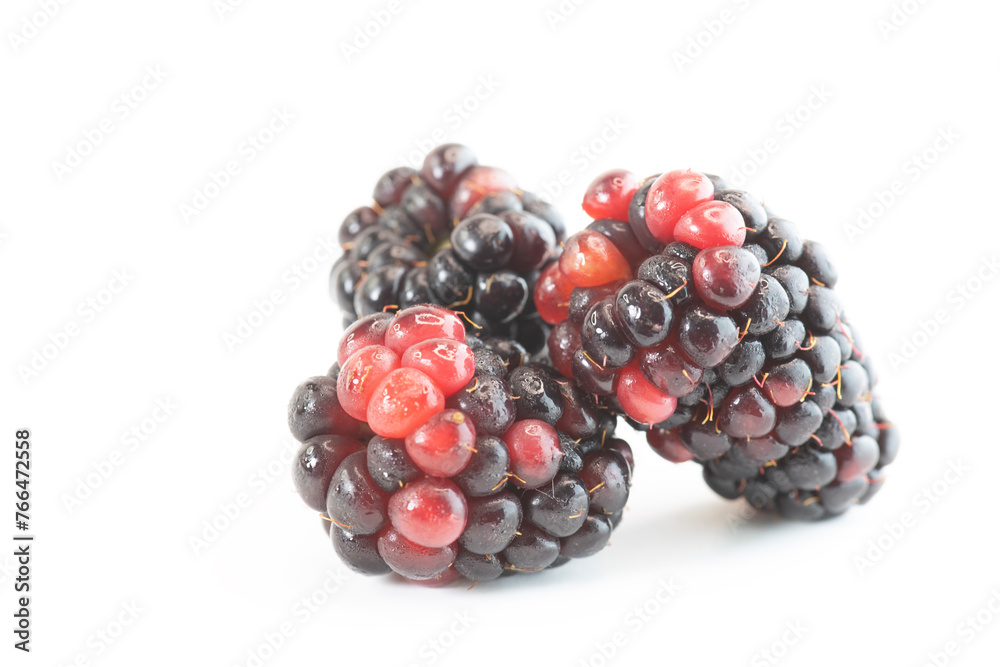 Blckbrry Bliss Premium Fresh Blackberry Delight Bursting with Flavor and Antioxidants Blckbrry Bliss Premium Fresh Blackberry Delight Bursting with Flavor and Antioxidants