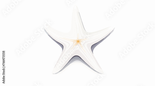 Starfish icon white Flat vector isolated on white background