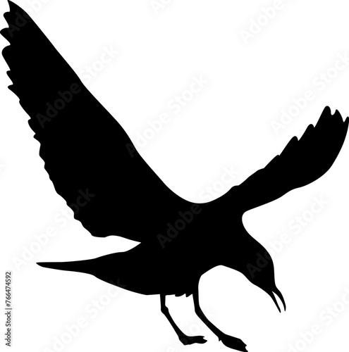 Silhouette on a white background of a sea gull