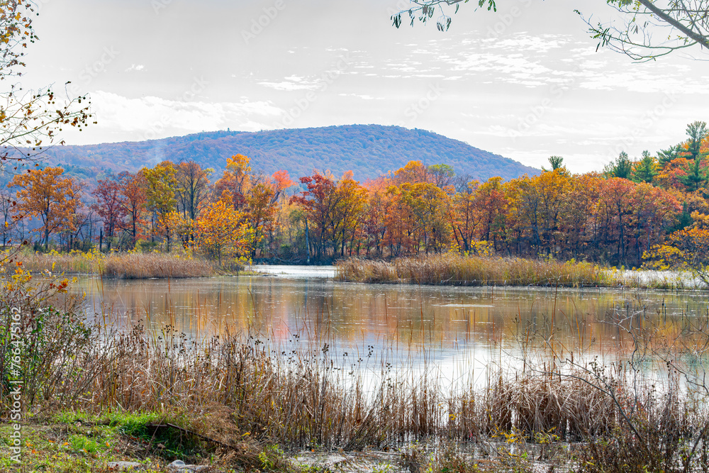Fototapeta premium fall landscape