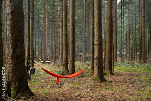 Relax place in the forest