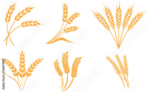Ears of Wheat  Barley or Rye in golden color. High resolution icons  ideal for bread packaging  beer labels  poster  banner or flyer. Gluten free  allergy free. 