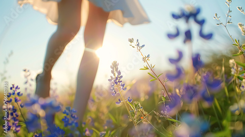Little girl in a field of lupine flowers at sunset.