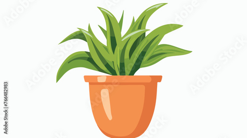 Ornamental plant flat icon in pot. isolated on a white
