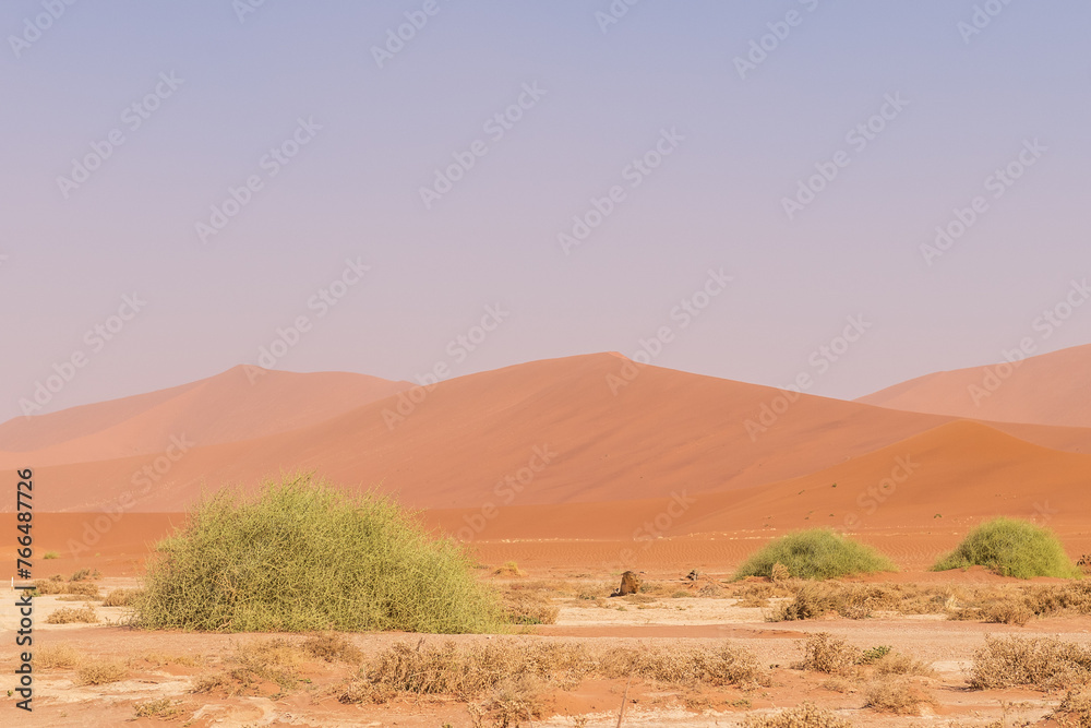 Impression of the massive sanddunes that comprise the Sossusvlei of western Namibia