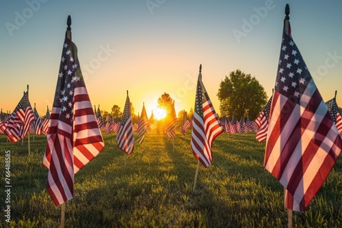 American flags planted in a field at sunset
