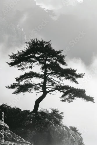 A solitary tree standing on a mountain peak. Perfect for nature and landscape backgrounds