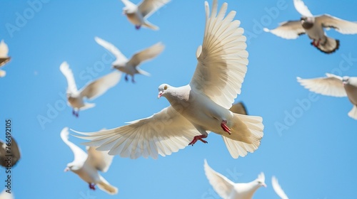 white pigeons in flight on blue sky background