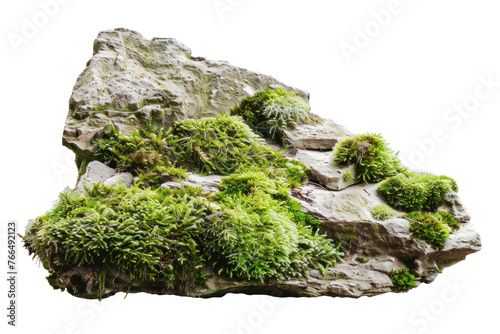 A rock covered in moss and lichen,isolated on white background or transparent background. png cut out or die-cut