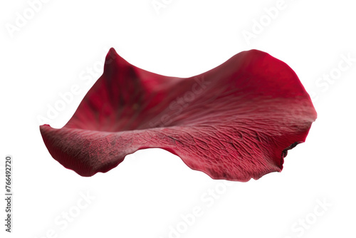 A red flower petal is floating in the air,isolated on white background or transparent background. png cut out or die-cut