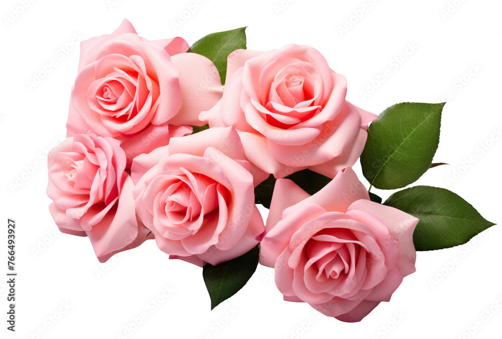 Five beautiful pink roses in full bloom, with soft petals and green leaves, cut out