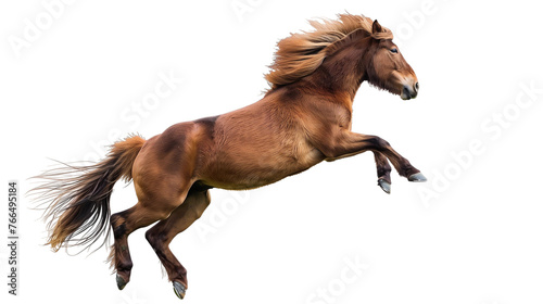 Beautiful horse is leaping into the air isolated on white or transparent background, png clipart, design element. Easy to place on any other background.