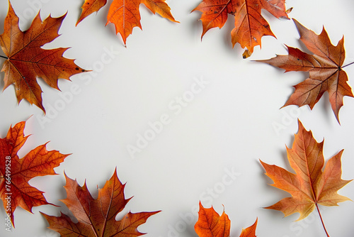 A circle of maple leaves on a white backgroundisolated on solid white background.