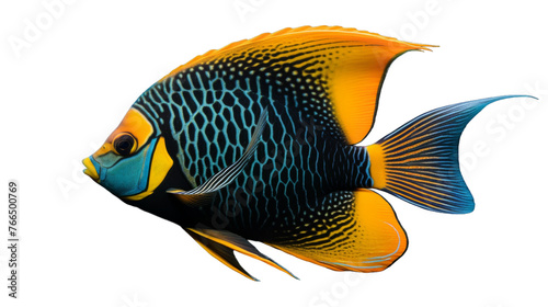 A vibrant blue and yellow fish swimming gracefully in a white abyss