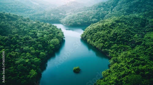 An aerial drone shot of a mountain river flowing through a lush forest