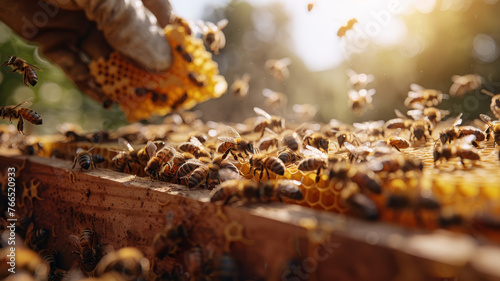 Beekeeper inspecting honeycomb outdoors © SashaMagic