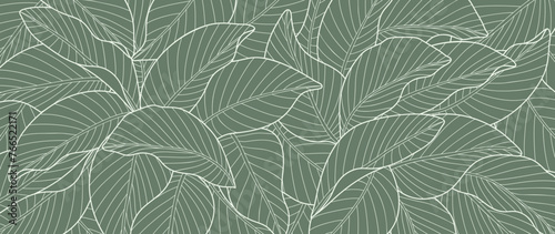 Abstract foliage line art vector background. Leaf wallpaper of tropical leaves  leaf branch  plants in hand drawn pattern. Botanical jungle illustrated for banner  prints  decoration  fabric.