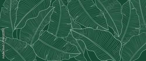 Abstract foliage line art vector background. Leaf wallpaper of tropical leaves, branch, banana leaf, plant in hand drawn pattern. Botanical jungle illustrated for banner, prints, decoration, fabric.