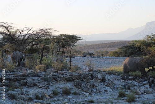 Elefante africano.