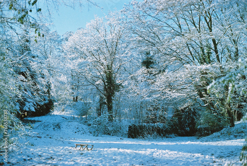 Zdjęcie analogowe sanek zimą