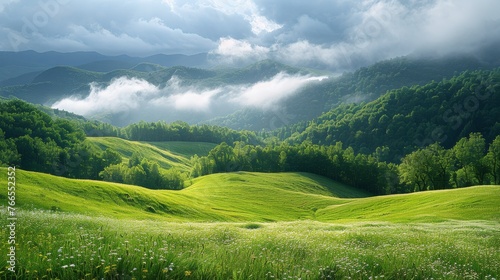 Grassy Field With Mountains