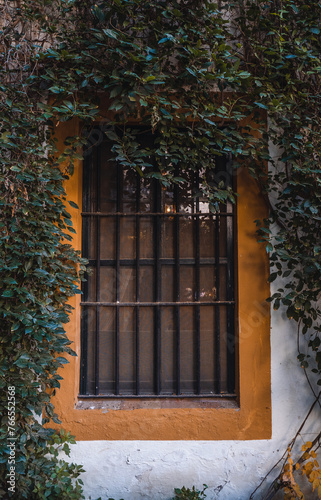 palacio de las duenas (sevilla, spain) photo