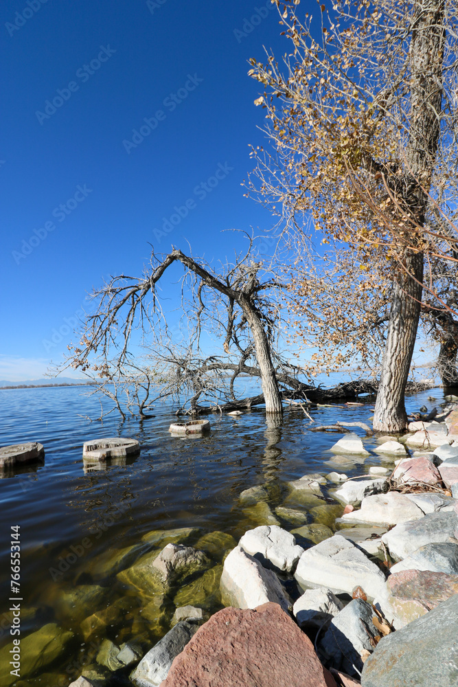 Bare trees and red ground cover surround frozen Barr Lake in Colorado. Red plants, blue sky and snowy lake surface in the foreground. Snow on the ground. Winter scene of wildlife refuge. Bare trees and red ground cover surround frozen Barr Lake in Colorado. Red plants, blue sky and snowy lake surface in the foreground. Snow on the ground. Winter scene of wildlife refuge.