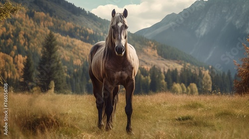 Horse in the mountains. Beautiful landscape in the autumn time.