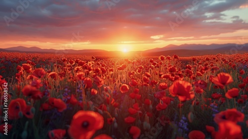 Orange Flowers Field With Sun Background