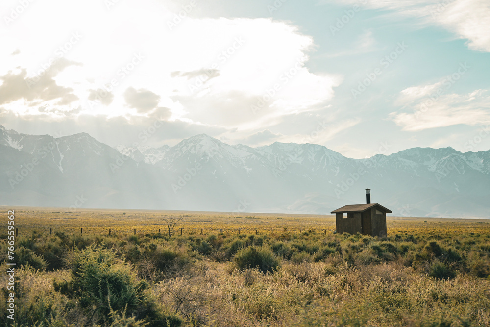 Obraz premium Manzanar Bushes