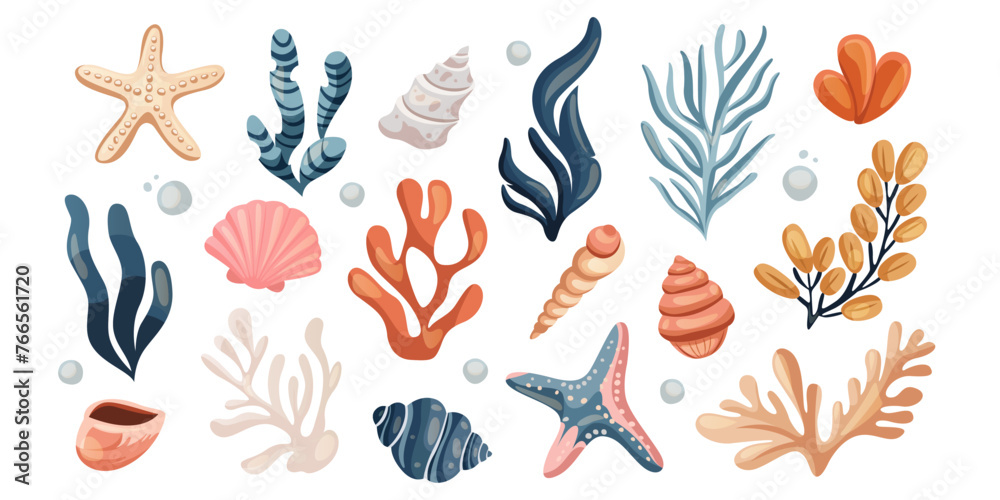 Set of seaweeds, starfish, wracks, racy, oyster shell, mollusk, laminaria, coral reef underwater plants. Aquarium, ocean undersea algae water life. Summer vacation, tropical beach shells marine flora Set of seaweeds, starfish, wracks, racy, oyster shell, mollusk, laminaria, coral reef underwater plants. Aquarium, ocean undersea algae water life. Summer vacation, tropical beach shells marine flora