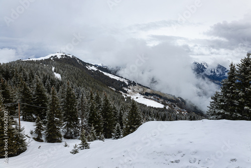 Clouds and snow on alpine forest © Stephen