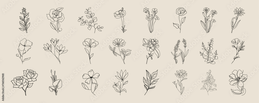 Botanical arts. Floral branch and minimalist flowers for logo or tattoo. Vector collection of hand drawn plants