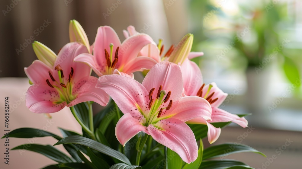 Pink Flowers in Vase on Table