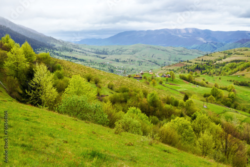 carpathian countryside scenery of ukraine on a cloudy day in spring. forest on a grassy hills in valley. krasna mountain range in the far distance beneath an overcaset sky photo