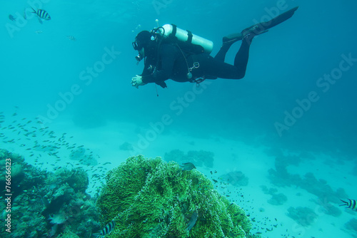 Scuba Diver in the Red Sea