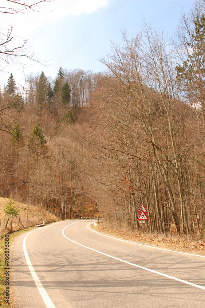 Fototapeta premium A road with trees on either side