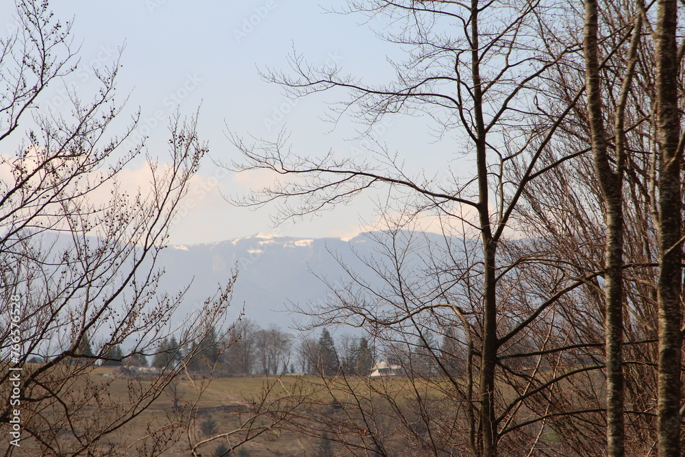 Obraz premium A landscape with trees and hills