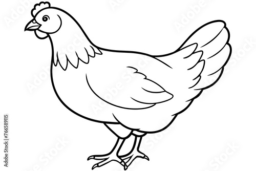 hen line art and illustration 