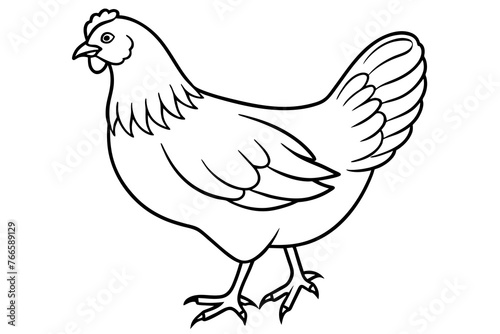 hen line art and illustration 