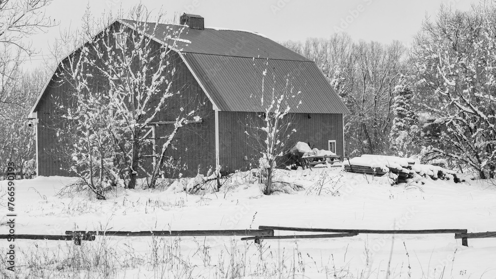 Fototapeta premium Black and white barn with snowy landscape in foreground. Snowy landscape with wooden rail fence. Pale sky over the side of a barn with gray roof. Colorado winter scene with snowy ground and trees.