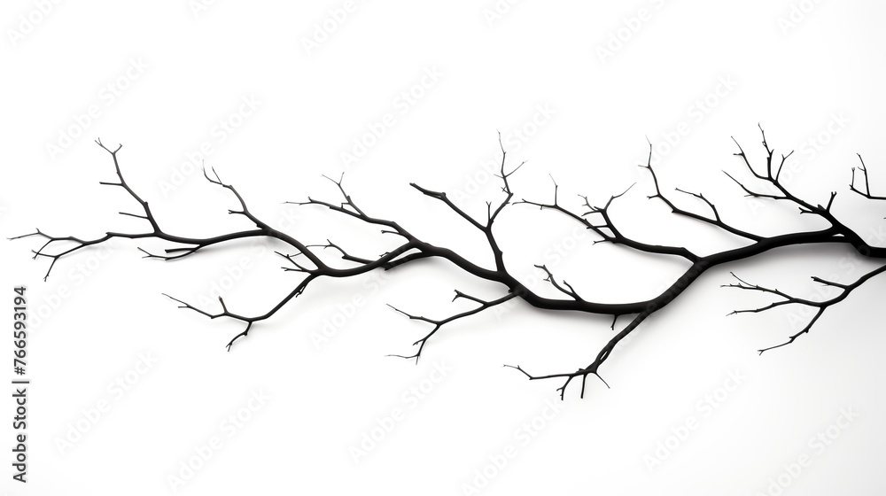 Tree branch silhouette in the winter season isolated on a white background. Tree branch silhouette in the winter season isolated on a white background.