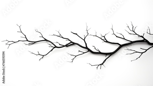 Tree branch silhouette in the winter season isolated on a white background.