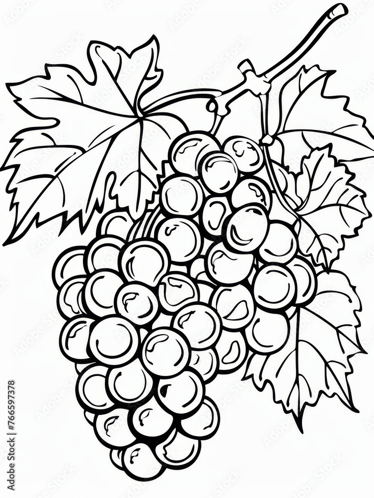 Fototapeta premium A classic black and white line art illustration of ripe grapes with round, plump fruits, serrated leaves, and a long, winding stem. Elegant and simple, ideal for diverse creative projects.