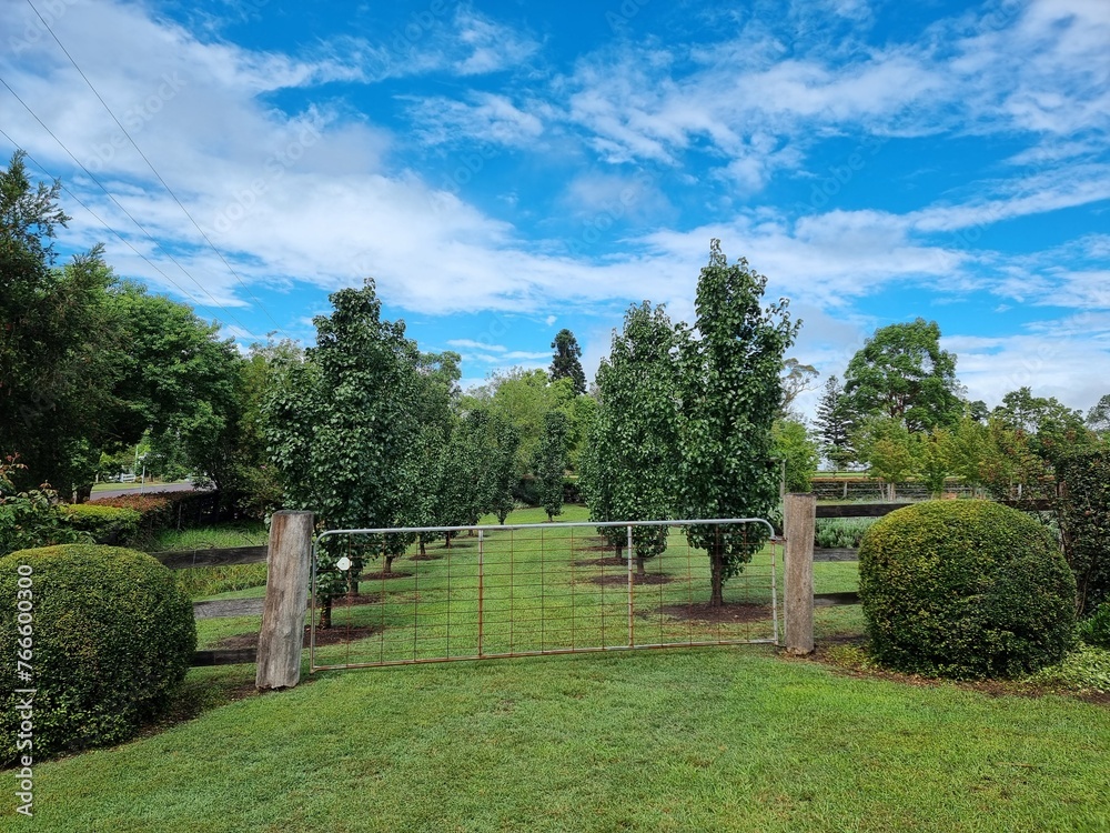 Metal gate with wooden posts leading to a garden with trees planted in rows