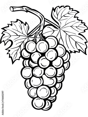 A classic black and white line art illustration of ripe grapes with round, plump fruits, serrated leaves, and a long, winding stem. Elegant and simple, ideal for diverse creative projects.