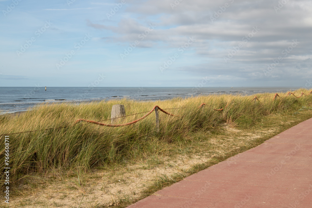 Coast on the Dutch island of Texel.