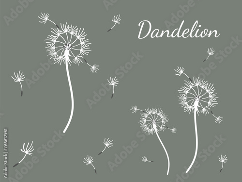 Dandelion_background1-48.eps
